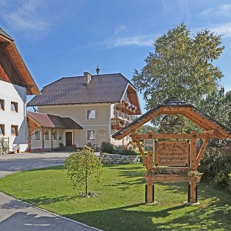 Ulnhof Apartment Mariapfarr Luaran gambar