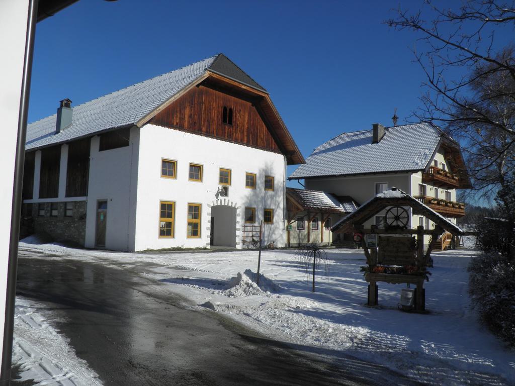 Ulnhof Apartment Mariapfarr Luaran gambar