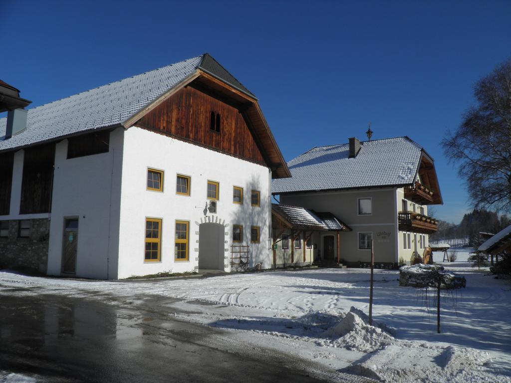 Ulnhof Apartment Mariapfarr Luaran gambar