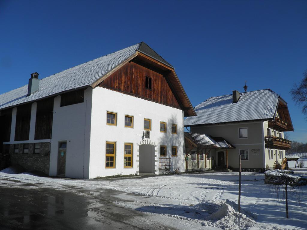 Ulnhof Apartment Mariapfarr Luaran gambar
